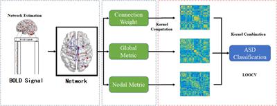 The Altered Pattern of the Functional Connectome Related to <mark class="highlighted">Pathological Biomarkers</mark> in Individuals for Autism Spectrum Disorder Identification